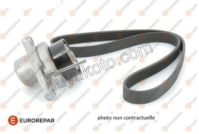 KIT KAYIS ALTER 1.5HDİ Euro6 1631627680 + 9813908180