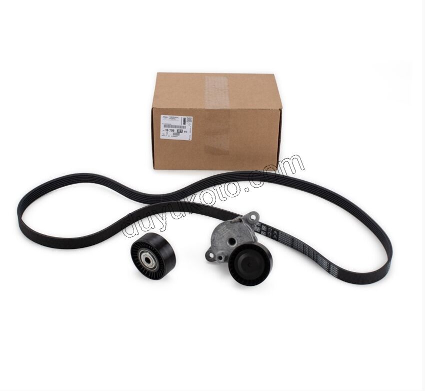 Alternatör V Kayış Kiti (Gergi Kütüklü) BXR3MQ DW10F