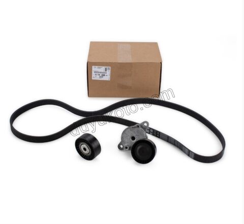 Alternatör V Kayış Kiti (Gergi Kütüklü) BXR3MQ DW10F