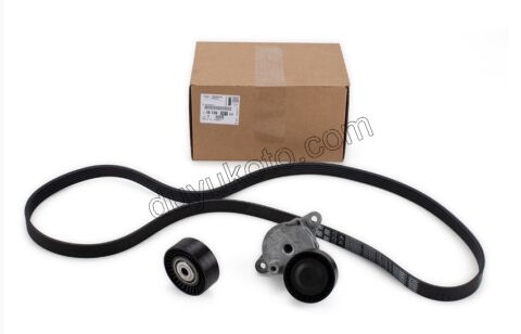 Alternatör V Kayış Kiti (Gergi Kütüklü) BXR3MQ DW10F