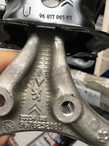 TAKOZ MOTOR R EB2 P2081 P20081 C33 CCT DS3