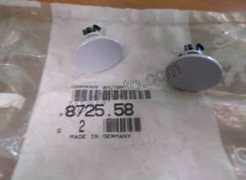 BUTON BAGAJ KAPAK KUMANDA AST+ P407 MEKANIZMA