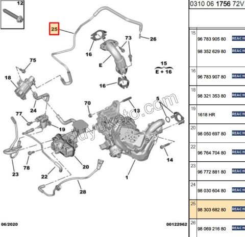 HORTUM TURBO VAKUM + EGR VALF BXR3MQ DW12R