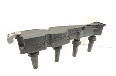 Ateşleme Bobini GRI  P206  P307