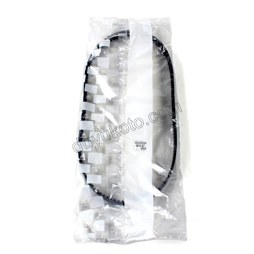 Eksantrik/Triger Kayışı 1.6HDİ Euro4