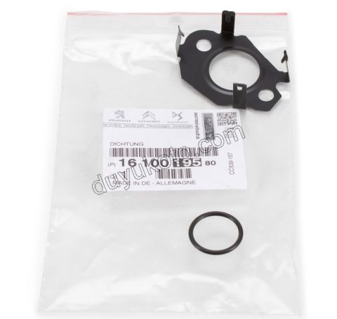 CONTA SAC + ORING EGR