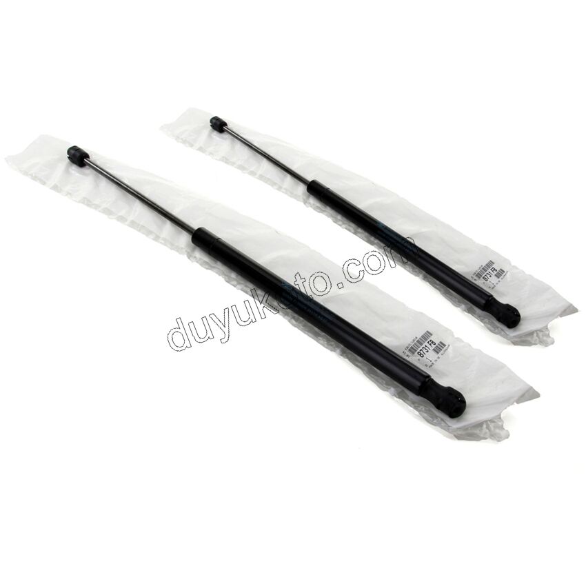 Bagaj Kapak Amortisörü P307SW