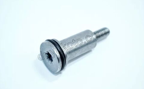 Eksantrik Zincir Kızak Civatası EP3 1.6VTi 120HP M8 156HP 0818.40