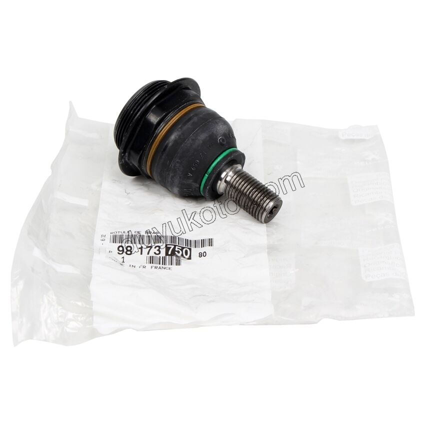 Rotil PRT3 P307 P3081 P30081 P50081