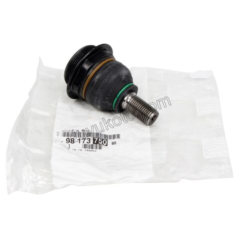 Rotil PRT3 P307 P3081 P30081 P50081