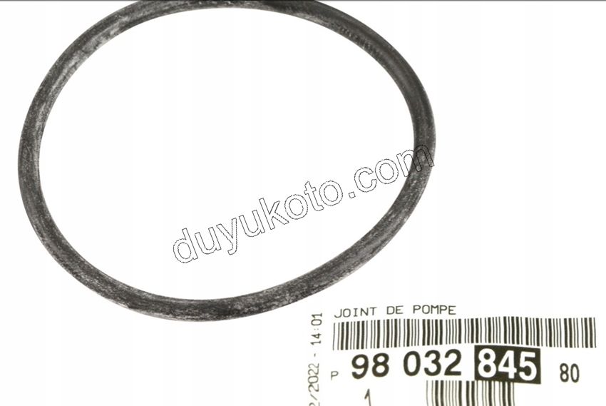 ORING MAZOT POMPA DW10FUE