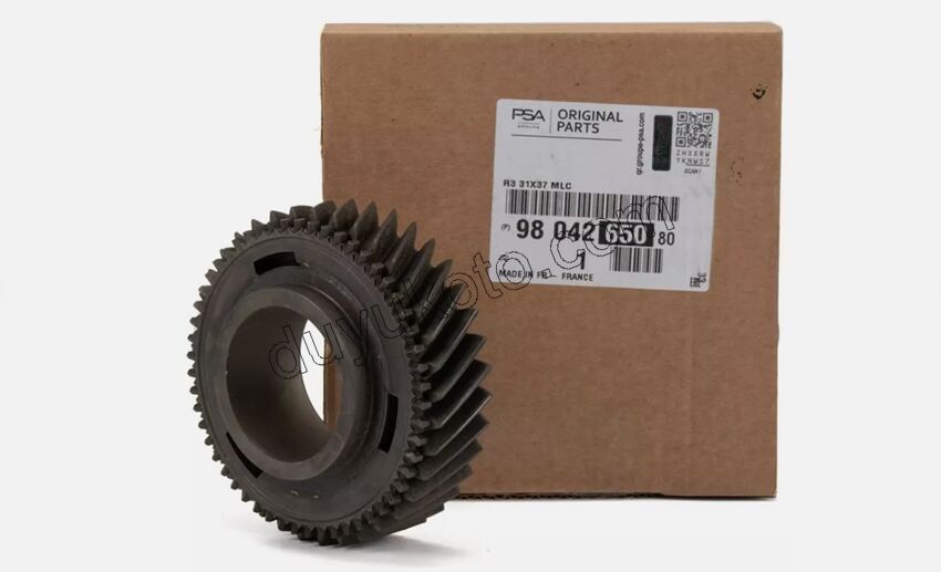 DISLI 3. VITES BXR1 BXR2 DCT1 DCT2 DW10 8V