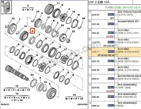 DISLI 3. VITES BXR1 BXR2 DCT1 DCT2 DW10 8V