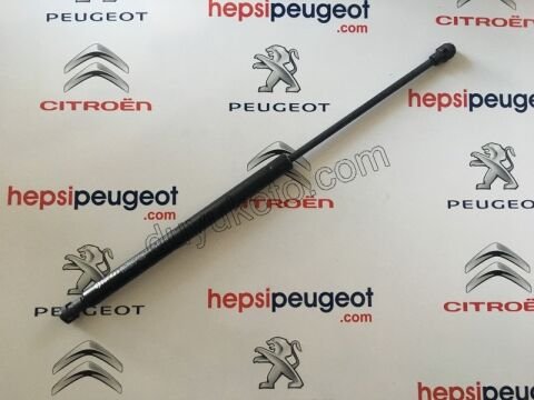 Bagaj Kapak Amortisörü P3081
