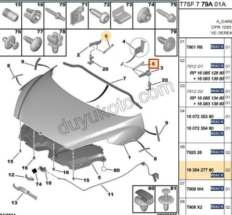 AMORTISOR MOTOR KAPUT RCZ
