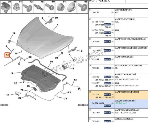 MOTOR KAPUT AMORTISOR P5081