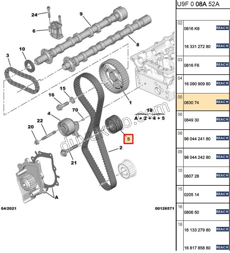 Eksantrik/Triger Düz (Sabit) Rulmanı DW10F 2.0HDİ 16V 163HP