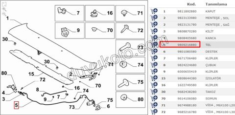 Kaput Açma Kolu ve Teli EXP4