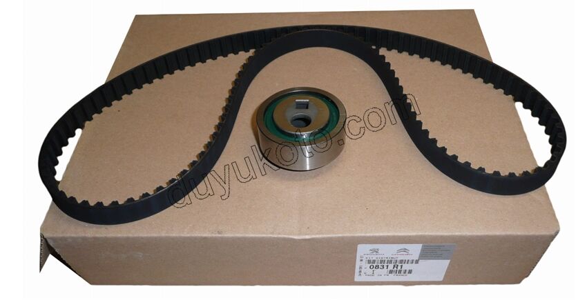 Eksantrik Triger Kayış Seti XU7JP 1.8 8V 114DIS