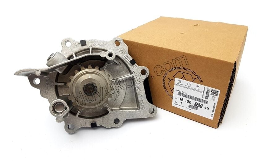 Devirdaim Su Pompası DW10F DW12R