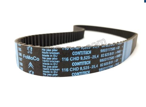 Eksantrik/Triger seti ve Devirdaim Kiti DW10F EXP4