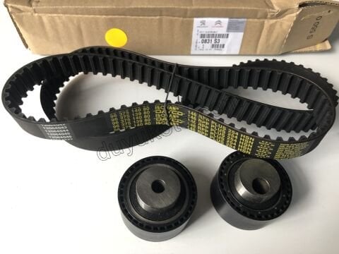 Eksantrik/Triger Kayış Seti DW12TED4 P406 P607 P807