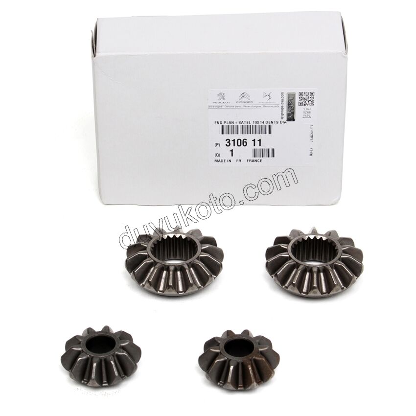 DISLI TK AKS ISTAVROZ 4AD KUCUK TIP