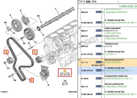 Eksantrik/Triger Kayış Seti DW10 8V