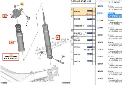 Arka Amortisör DS41 C42 P30081