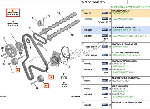 Eksantrik/Triger Kayış Seti DW10ATED4 8V