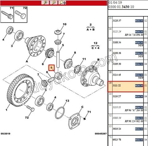FLANS ISTAVROZ DISLI ORTA BXR3