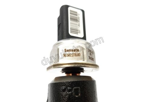 Peugeot Citroen Ford Enjektör Rampası (Rail Müşürlü) 1.4HDİ / 1.6HDİ  Euro4