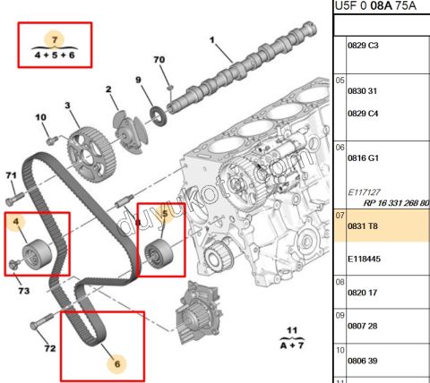 Eksantrik/Triger Kayış Seti DW12 BXR2