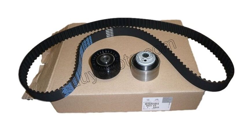 Eksantrik/Triger Kayış Seti DW10 8V