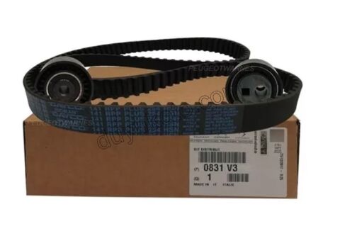 Eksantrik/Triger Kayış Seti DW10 8V