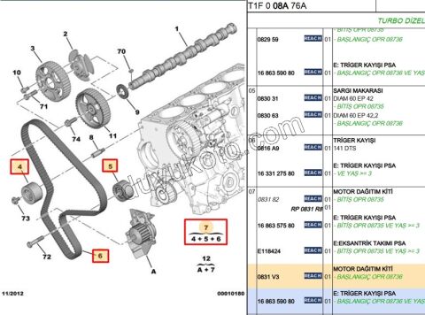 Eksantrik/Triger Kayış Seti DW10 8V