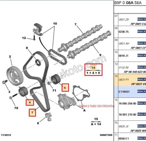 Eksantrik/Triger Kayış Seti 1.6HDİ Euro4