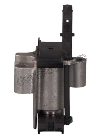 Eksantrik/Triger Zincir Gergisi DW10FUE