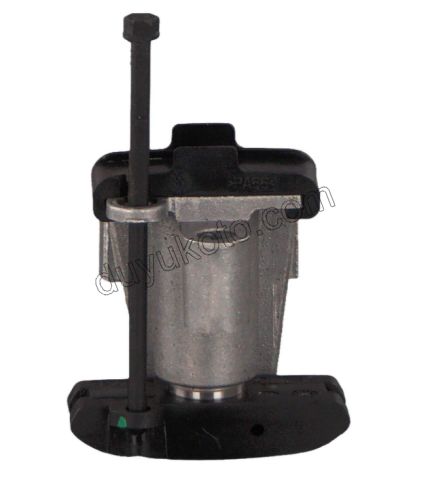 Eksantrik/Triger Zincir Gergisi DW10FUE