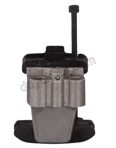 Eksantrik/Triger Zincir Gergisi DW10FUE