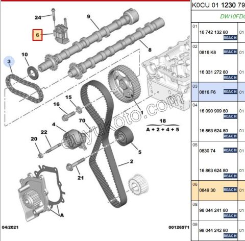 Eksantrik/Triger Zincir Gergisi DW10FUE