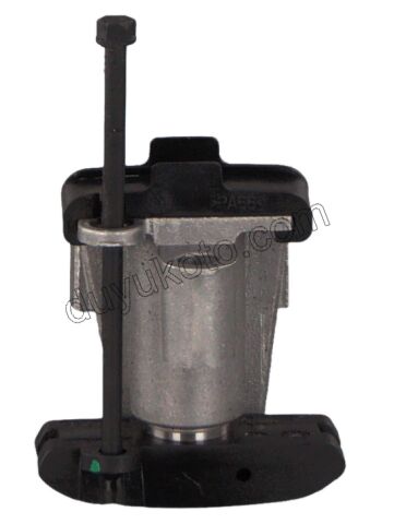 Eksantrik/Triger Zincir Gergisi DW10FUE