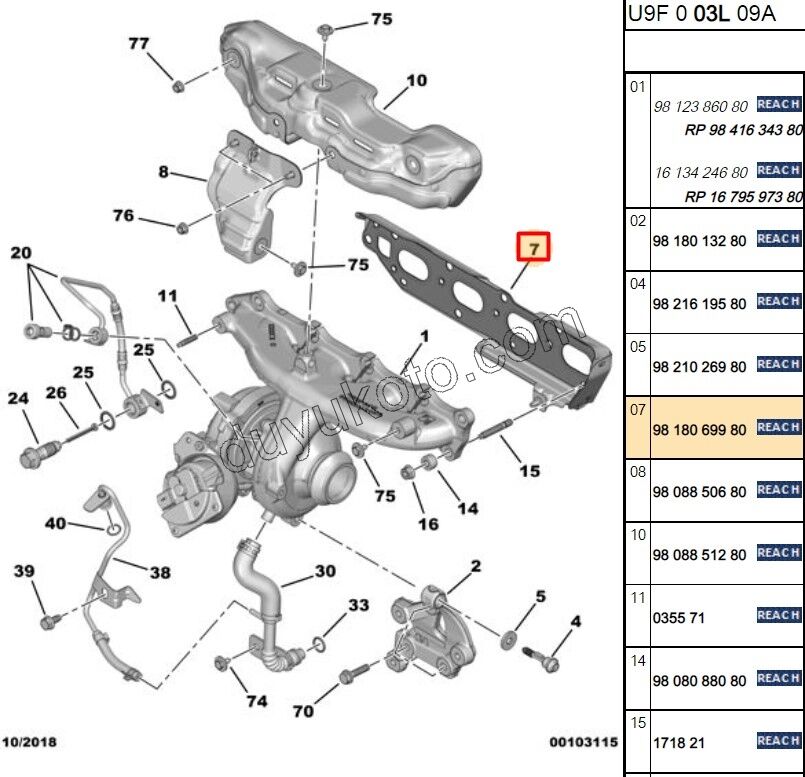 CONTA EGZOZ MANIFOLD + TURBO BXR3MQ DW12R