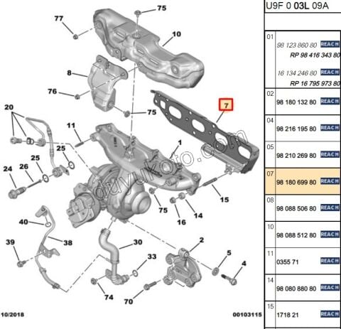 CONTA EGZOZ MANIFOLD + TURBO BXR3MQ DW12R