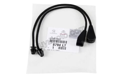 Bagaj Rafı (Şapkalık) İpi C31 C32