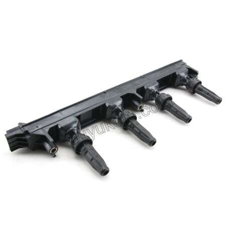 Ateşleme Bobini EW10A