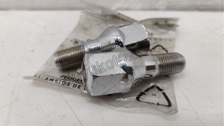 BIJON CIVATA 19LUK P206 KROM 12X125X53