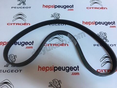 Alternatör V Kayışı 6PK0966 P301 1.6HDİ Euro5