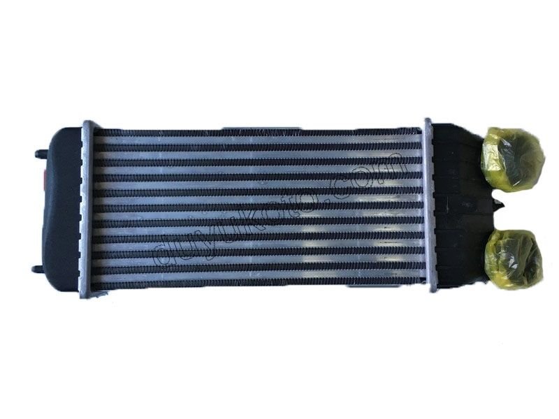 RADYATOR TURBO INTERKOL P207 C3 DV6