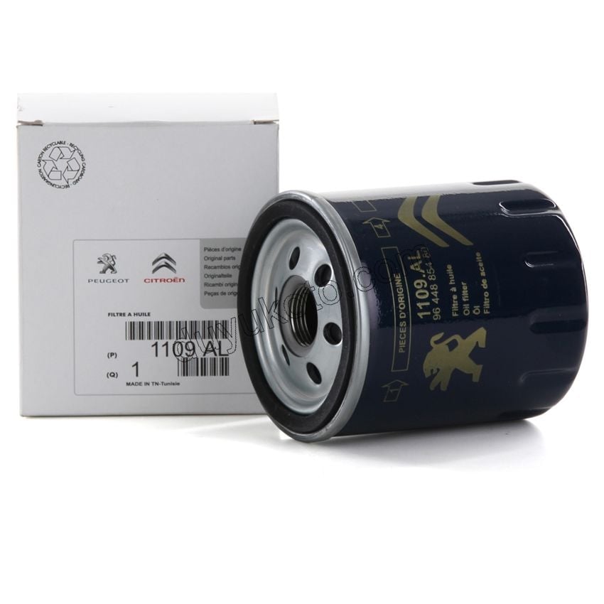 Yağ Filtresi EB2 TU5 EW10 DW10 8V